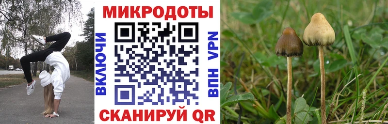 Псилоцибиновые грибы ЛСД  Лихославль 